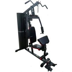 Atlas Treningowy Jednostanowiskowy DS600S DS Fitness